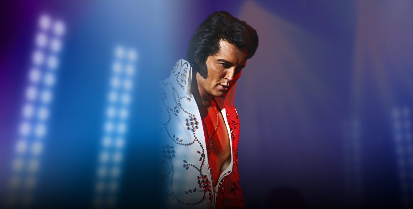 Elvis - The Show!