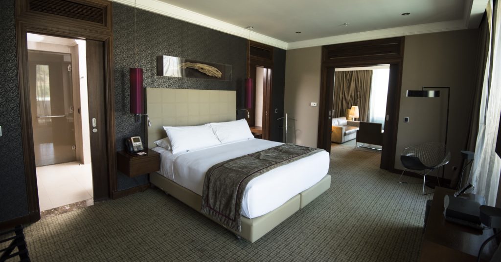 PRESIDENTIAL SUITE VALLEY VIEW