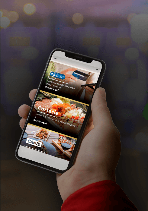 Disfruta al máximo tu experiencia