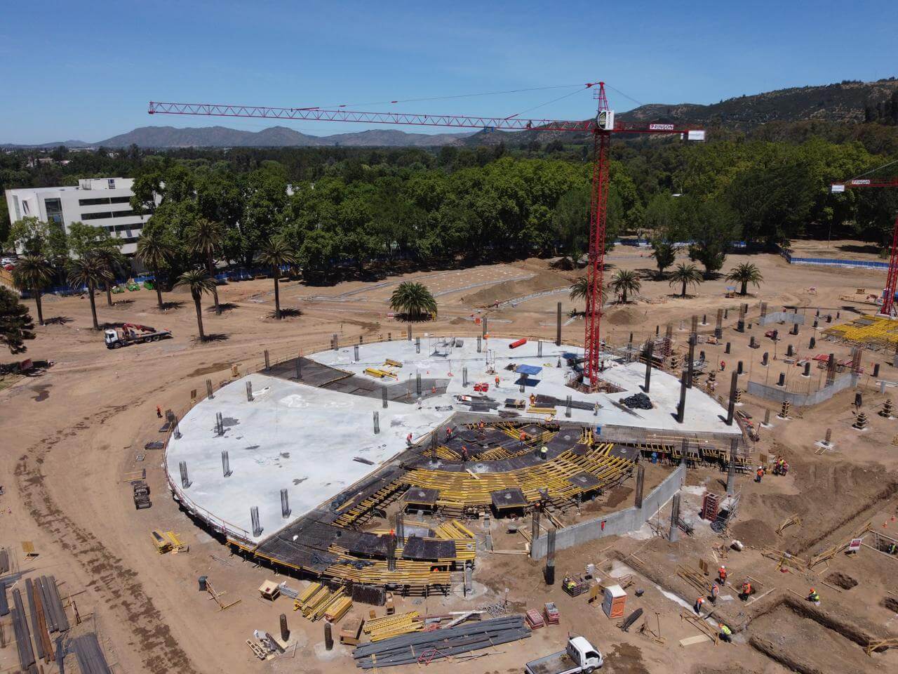 WhatsApp Image 2026-03-03 at 1.53.09 PM (2)