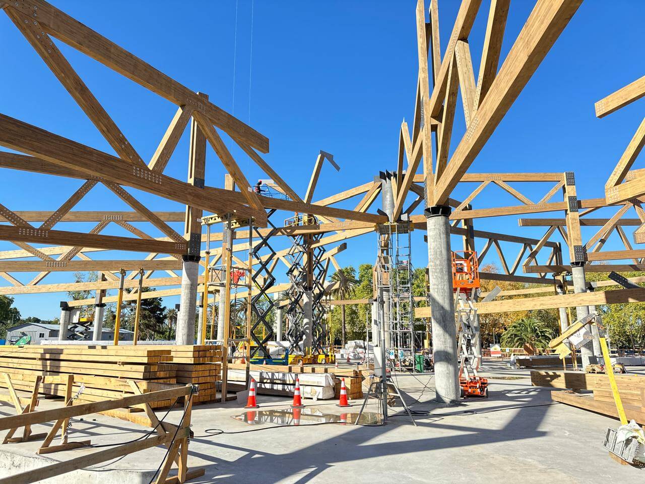 WhatsApp Image 2026-03-06 at 7.04.11 PM