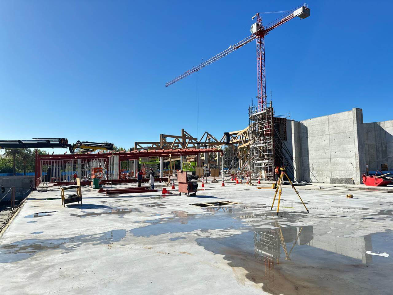 WhatsApp Image 2026-03-06 at 7.04.12 PM (1)